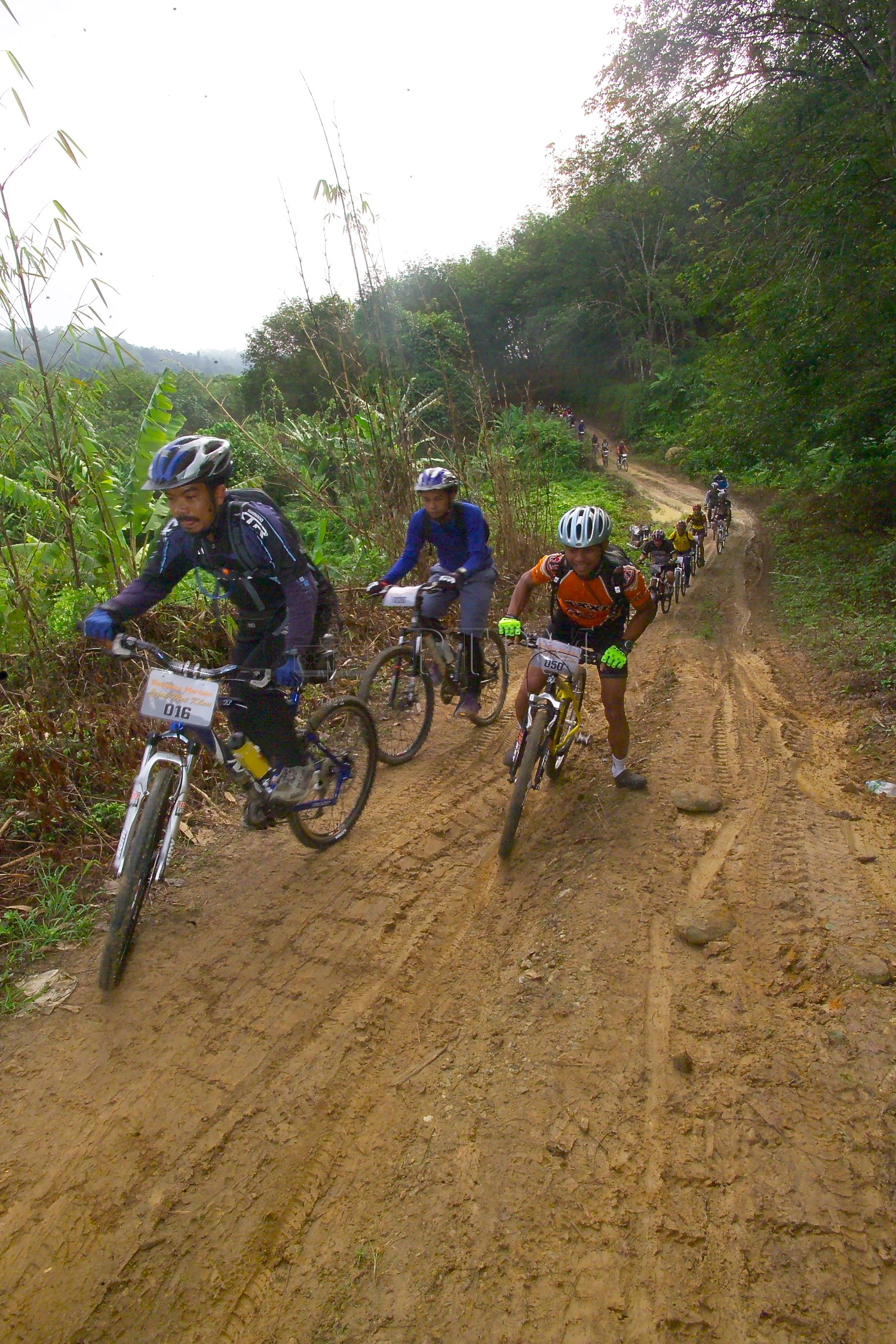 PTPM 06 31 kilau D9X44221